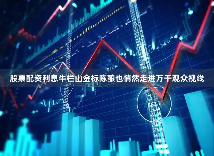 股票配资利息牛栏山金标陈酿也悄然走进万千观众视线