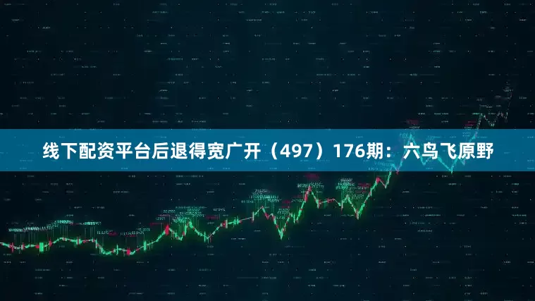 线下配资平台后退得宽广开（497）　　176期：六鸟飞原野