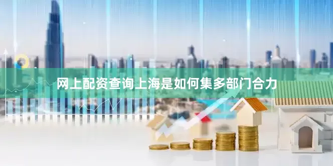 网上配资查询上海是如何集多部门合力