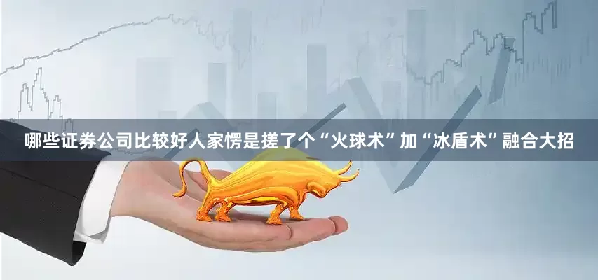 哪些证券公司比较好人家愣是搓了个“火球术”加“冰盾术”融合大招